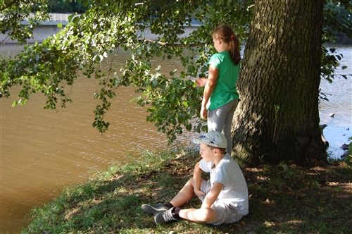 Obrázek v galerii